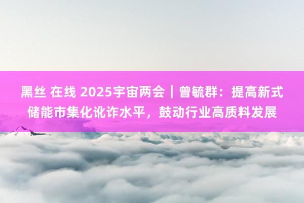 黑丝 在线 2025宇宙两会｜曾毓群：提高新式储能市集化讹诈水平，鼓动行业高质料发展